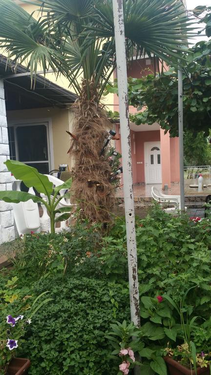 Apartments Ana Dojran ภายนอก รูปภาพ