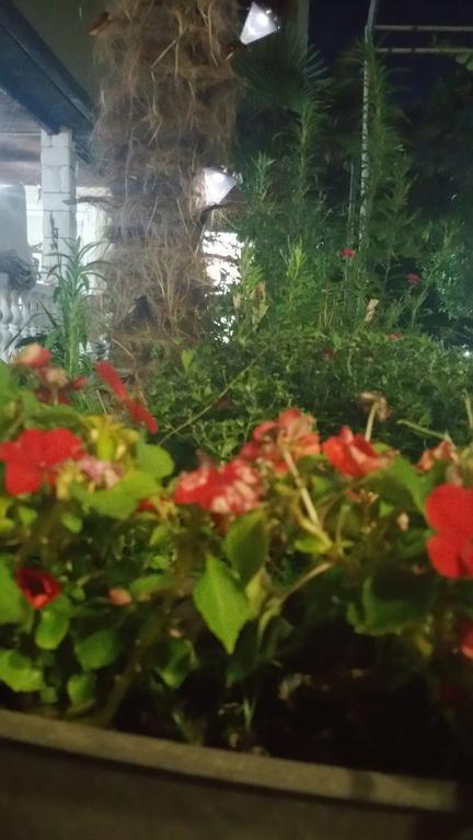 Apartments Ana Dojran ภายนอก รูปภาพ