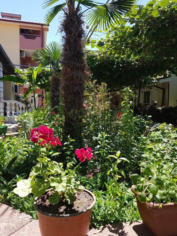 Apartments Ana Dojran ภายนอก รูปภาพ
